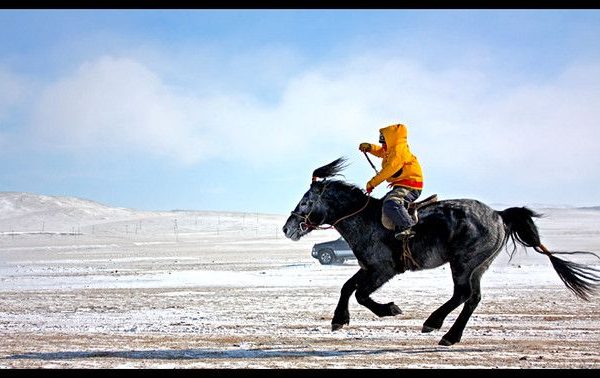 Есөн настай хүү эцэг, эхийнхээ өр төлбөрт хурдан морь унаж хүнд гэмтсэн хэргийн шүүх хурал боллоо.